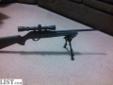 I have a great shooting Remington 597 semi auto .22. It comes with 2 mags a case and about 800 rounds of ammo. Its got an aftermarket barrel. Not the bull but heavier than the standard. It has had a trigger job making it a lot crisper. It also has an