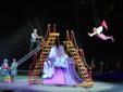 Ringling Bros. and Barnum & Bailey Circus Tickets
05/08/2015 7:00PM
BMO Harris Bank Center (Formerly Rockford Metrocentre)
Rockford, IL
Click Here to Buy Ringling Bros. and Barnum & Bailey Circus Tickets