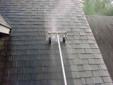 Professional Power Washing & Low Pressure Roof Care and Cleaning KP Window Cleaning - 503-960-4246 -www.pdxwindowcleaning.com
Phone: 503-960-4246
Website: http://www.pdxwindowcleaning.com
About Us
Welcome to KP Window and Gutter Cleaning Services!!
My