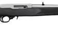 New in the box ruger 10/22. Synthetic stock stainless barrel
Source: http://www.armslist.com/posts/959891/valdosta-georgia-rifles-for-sale--ruger-10-22-stainless