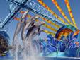 Â 
SeaWorld San Diego Discount Tickets Click Here
Family Fun Pack (3 Tickets) (ages 3+)
Includes 3 tickets at $59.66 each. Save $40.00
Tickets are print at home, no waiting in line at the ticket booth.
Online only special. Ticket Booth Price $71.00 each