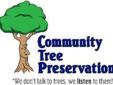 Community Tree Preservation was Voted Best Tree Company in 2011 Nashville Scene Reader's Poll!
We Can Help With Your Tree Related Needs.
Severe Storms create tree damage? We can help.
We can help with:
*Broken or Loose Limbs
*Split Trees
*Pruning
*Stump