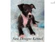 Price: $500
VIDEO OF THIS WONDERFUL PUPPY IS AVAILABLE ON OUR WEBSITE AT: www.newdesignskennel.com Sweet Sid is a lovely seal and white boy with a great pedigree, beautiful markings and a great personality. He's a sweet boy and has a wonderful