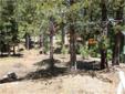 City: South Lake Tahoe
State: Ca
Price: $115000
Property Type: Land
Agent: Deb K. Howard
Contact: 530-542-2912
This is it pristine Tahoe buildable large vacant parcel nearly 1/2 acre of lovely lightly wooded lot, sunny seclusion. IPES score of 826 with