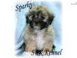 Price: $300
Little Sparky is full of all kinds of adventure and love!!! He is has a great combination of curiosity, activity, fearlessness, snuggles, cuddles, and kisses. He is the perfect all around little boy. He is the super combination of Shih Tzu and