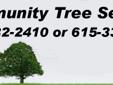 Community Tree Service of Nashville was Voted Best Tree Company in 2011 Nashville Scene Reader's Poll!
We Can Help With Your Tree Related Needs for Spring.
Our recent Weather may have caused damage to your trees and we can help.
We can help with:
*Broken