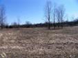 Click HERE to See
More Information and Photos
Robin Cutler248-625-0200
REAL ESTATE ONE-CLARKSTON
248-625-0200
Rolling 1.52 Acres. Possible Daylight Or Walk-out Site. Platted Sub With County Roads. Build Your Dream. Building Minimums 1600 Sqft Ranch, 1800