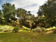 Sweeney Rd #6, Lompoc
Broker Ref: 196172
Gorgeous, secluded, remote, and picturesque land. Bountifully covered with oaks and other flora, possessing phenomenal views, the land is remote, private, and peaceful. Near the Santa Ynez river in prime