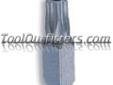Grey Pneumatic B3055 GREB3055 T55 Regular Tamper-Proof Star Bit
Price: $4.08
Source: http://www.tooloutfitters.com/t55-regular-tamper-proof-star-bit.html