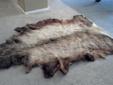 Excellent Elk Hide with hair on. Size approx 84" x 81". Look excellent. Would look great on any wall or floor.....
Sell or trade. If interested contact me @ 702-371-3235.