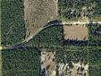City: O'Brien
State: FL
Zip: 32071
Price: $23000
Property Type: lot/land
Agent: William Golightly
Contact: 386-590-6681
Email: hondaatc@gmail.com
Very nice 4ac tract large planted pines, well,septic,power. Great location, between Lake City and Branford