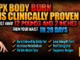 We will literally PAY YOU for pounds lost when you use ONE of our products EPXBody Burn or EPX Nutri-Thin for THREE consecutive months!
That's it. One product (worth $39.95/month) for THREE months. No sign-up fees. No catch. Information on registering for