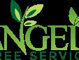 ANGEL'S TREE SERVICE
Tree Trimming
Tree Removal
Topping
Prunning
Power Stump Grinding
Palms Skinned & Trim
Hillside Cleanup
Gardening and Grass Cutting
******FREE ESTIMATES************
310-753-8199
Â 
gnizing the social impact of advertising,