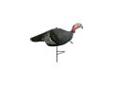Primos 69093 Turkey Decoy Upright Jake
The Upright Jake from Primos is a great addition to your current decoy set-up. The Upright Jake paired along with a hen will get a weary gobbler's attention and bring him in looking for a fight.
The Upright Jake is