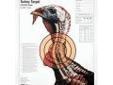 Champion Traps and Targets 45780 Turkey Targetlifesize (12/Pk)
Life-Size Turkey Target (12 pack)
Turkey Sight-In Paper Targets
Now you can check the patterning of your turkey loads. Aim and shoot at the vital zone indicated on the target. Count the number