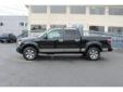 2011 Ford F-150 4WD SuperCrew
$21996
Additional Photos
Vehicle Description
5.0L V8 FFV and 4WD. Crew Cab! Flex Fuel! This dependable 2011 Ford F-150 is the truck that you have been hunting for. A 2010 Consumer Digest Best Buy Award winner. Aerodynamic