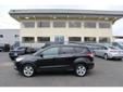 2015 Ford Escape SE AWD
$18996
Additional Photos
Vehicle Description
AWD. Are you READY for a Ford?! What a price for a 15! Your quest for a gently used SUV is over. This fantastic-looking 2015 Ford Escape has only had one previous owner, with a great