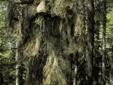 The Warrior Ghillie Suit is the ultimate 3D camouflage ghillie suit. Made with lightweight synthetic threads sewn onto a breathable digital jacket and pants, this ghillie suit is all you will ever need. This synthetic material is fire retardant, mildew