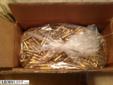1000 rounds federal m193 5.56 for $900
Source: http://www.armslist.com/posts/952981/palm-beach-ammo-for-sale--1000-rounds-federal-5-56