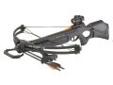 "
Barnett 78073 Wildcat C5 Package Black, Premium Red Dot Sight
The Wildcat C5, the best selling bow of all time is the foundation of this new compound bow. With speed, performance and comfort in mind this bow features a lightweight composite stock, a