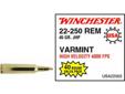 For avid centerfire rifle shooters, Winchester has introduced a full line of USA Brand Centerfire Rifle Ammunition-including two specially packaged hollow point loads tailored to meet the high volume, high accuracy shooting requirements of serious Varmint