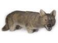 "
Lucky Duck (by Expedite) 21-50507-6 Yote Coyote
Life-sized, lightweight coyote decoy. Works great with any of our predator calls. Gives the coyote a sense of ""ease"" seeing another coyote when coming in to a call. Single stake allows for easy and quick